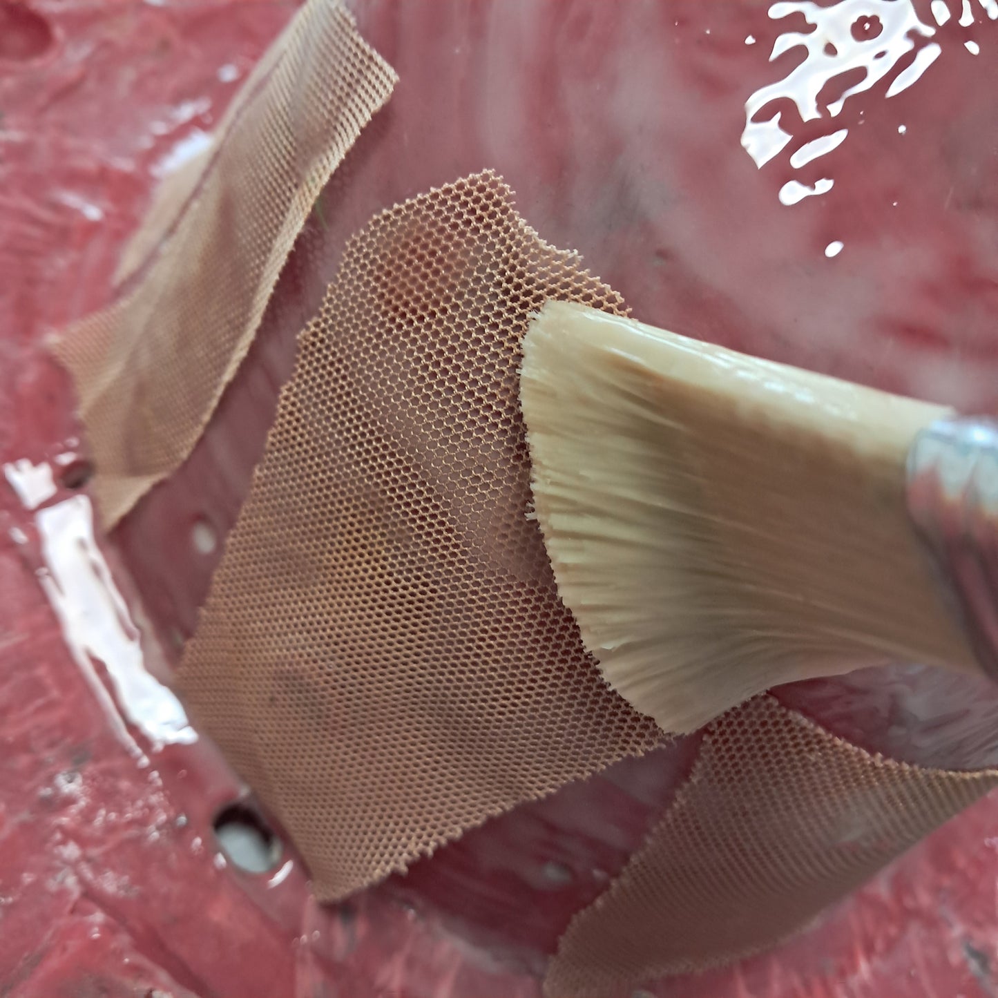 Tessuto Elastico colore CARNE