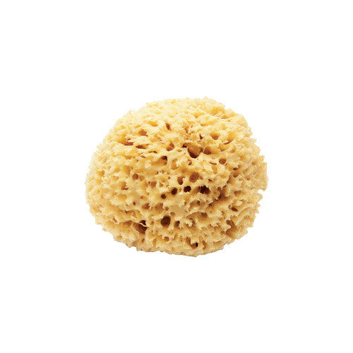 Spugna di mare 3 pz.