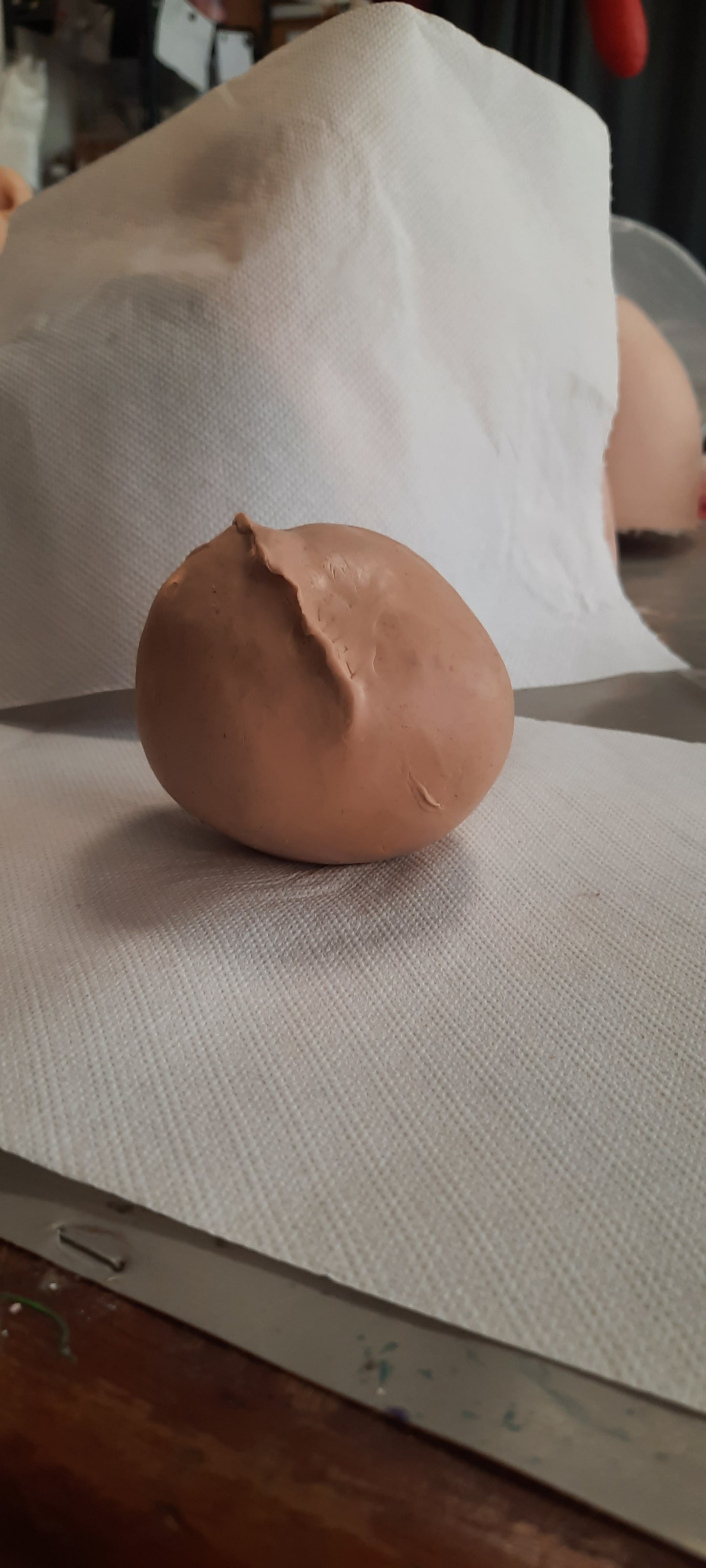 Plastilina J.Herbin - 1 kg - Rosa carne